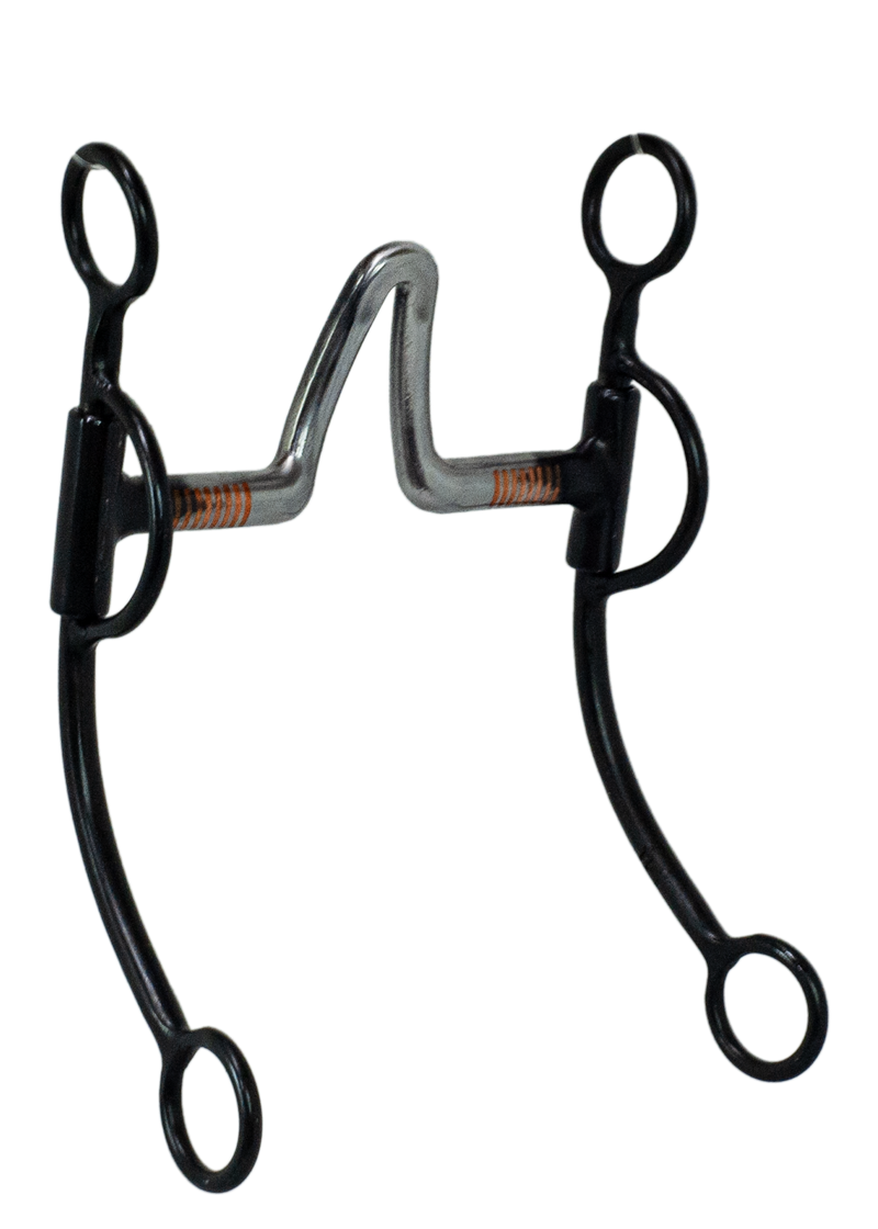 Tyler Black Steel Shank - Las Cruces Bit