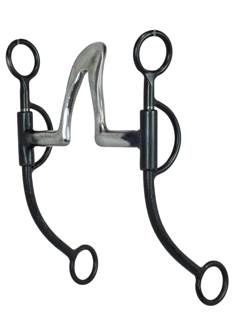 Tyler Black Steel Shank - Cathedral Bit
