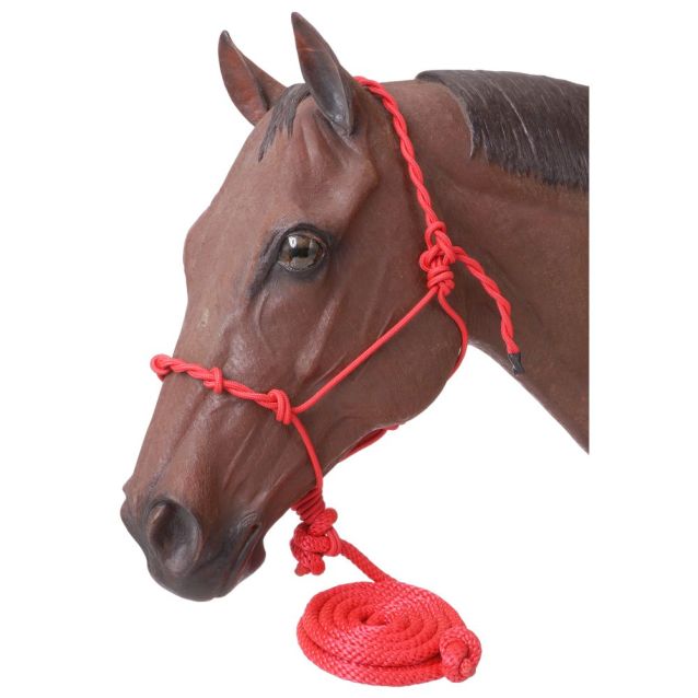 Tough 1 Poly Rope Halter W/Knots & 14Ft Lead