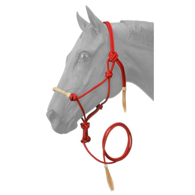 Tough 1 Rawhide Noseband Rope Halter with Lead