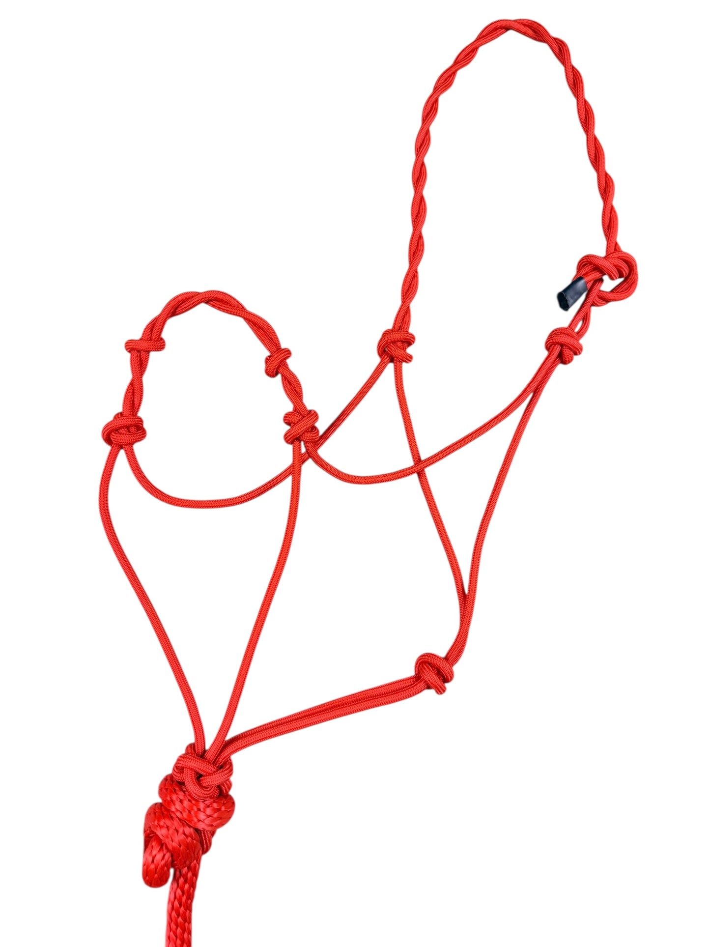 Knotted Rope Halter with 14' Lead (Red)
