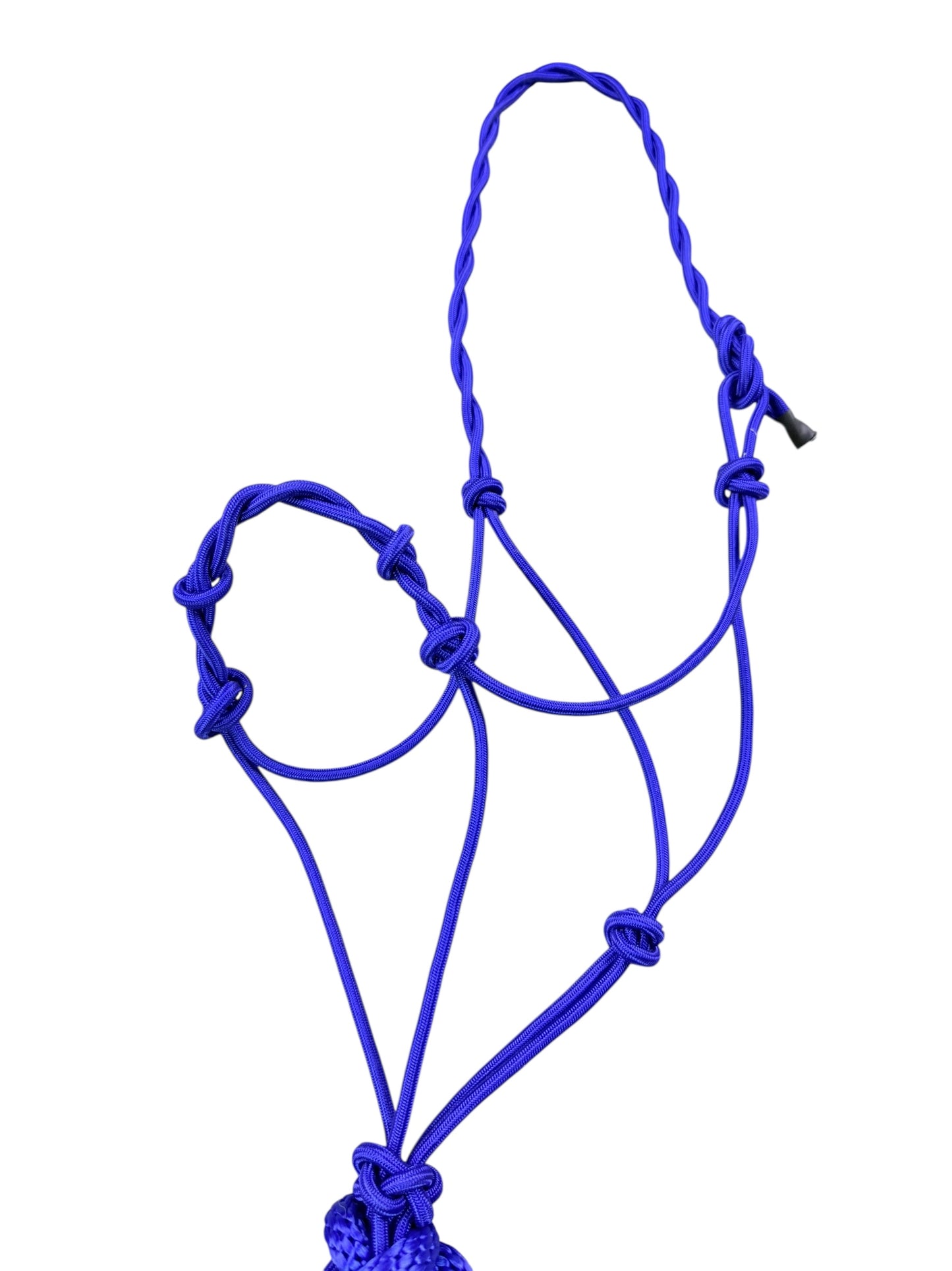 Knotted Rope Halter with 14' Lead (Royal Blue)