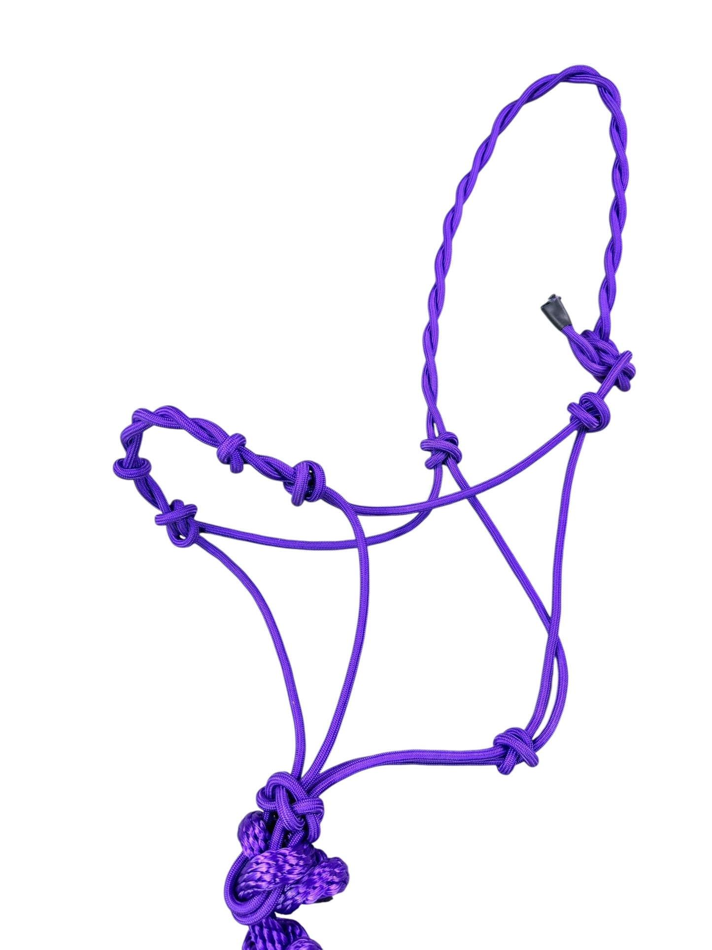 Knotted Rope Halter with 14' Lead (Purple)