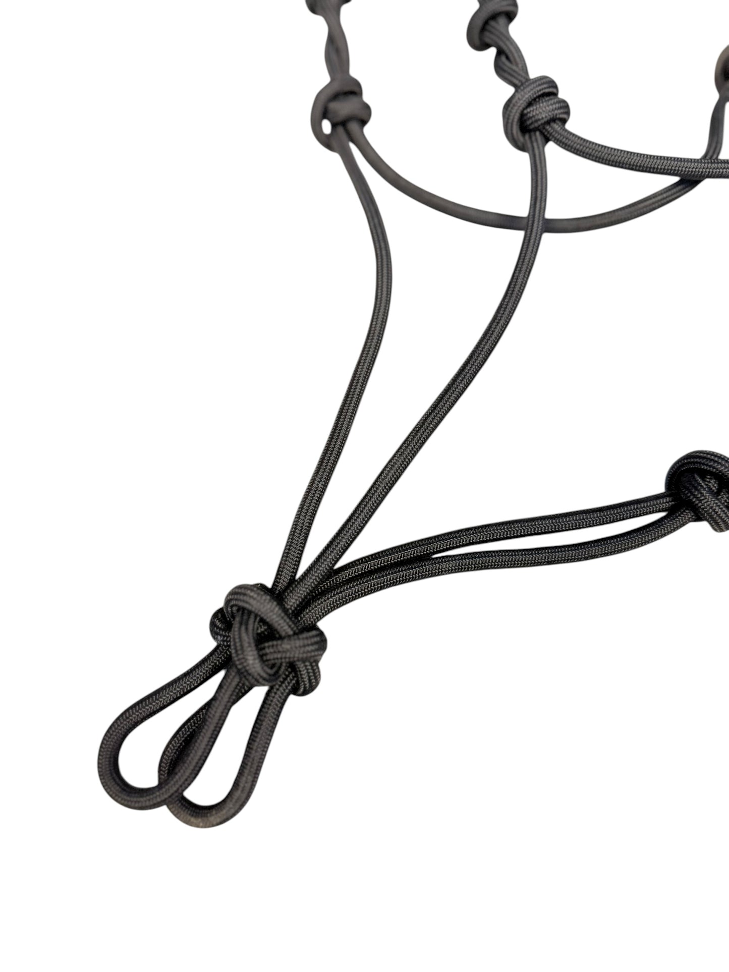 Knotted Rope Training Halter