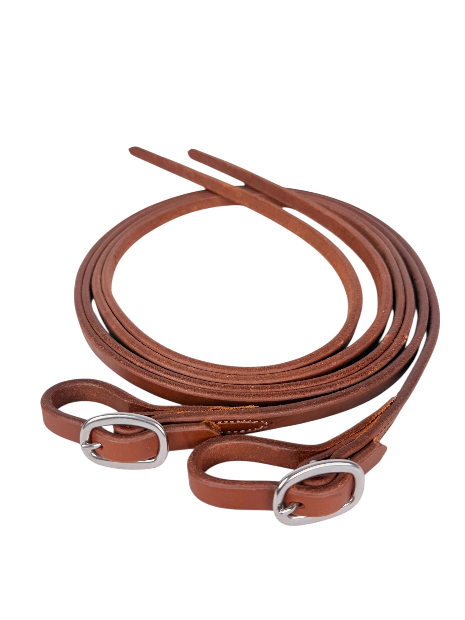 Reins