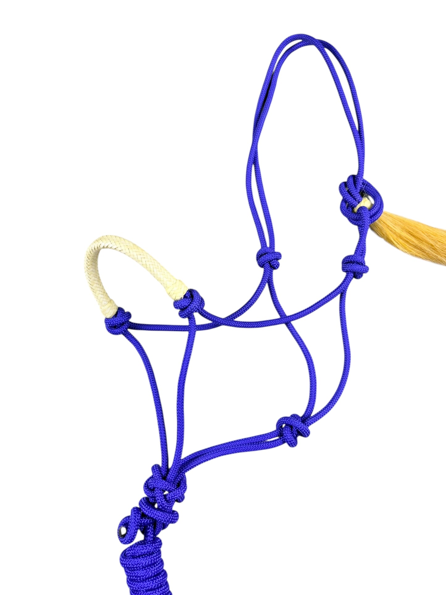 Rawhide Noseband Rope Halter with Lead (Royal Blue)