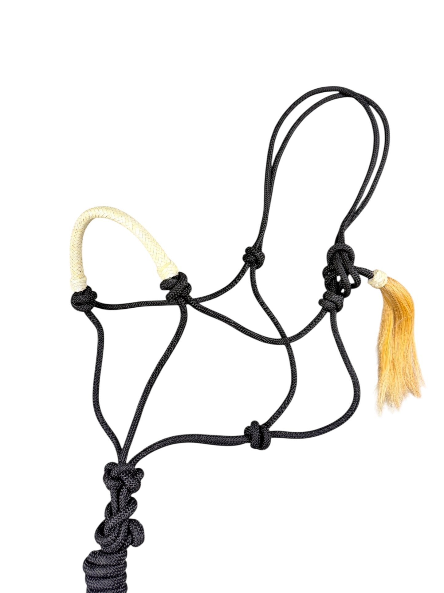 Rawhide Noseband Rope Halter with Lead (Black)