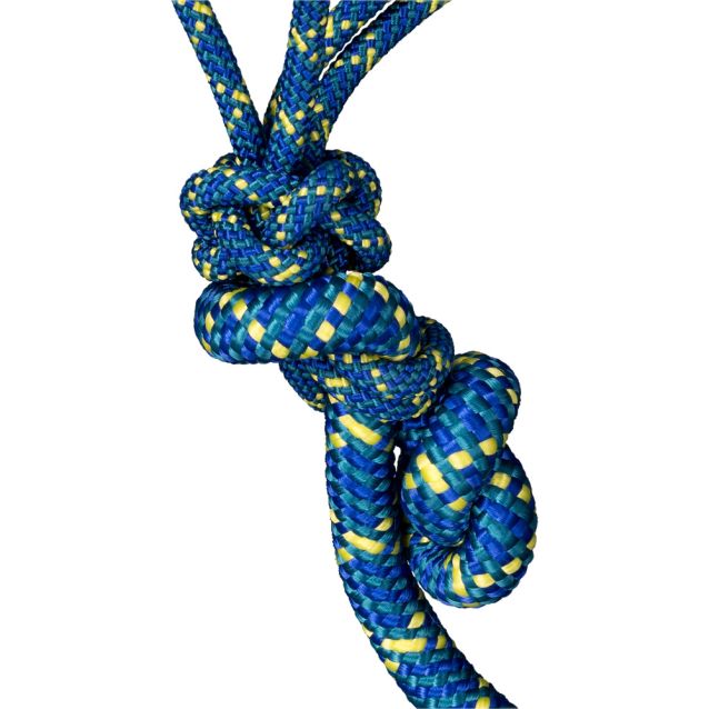Tough1 Tri-Color Rope Halter with Lead (Royal Blue)
