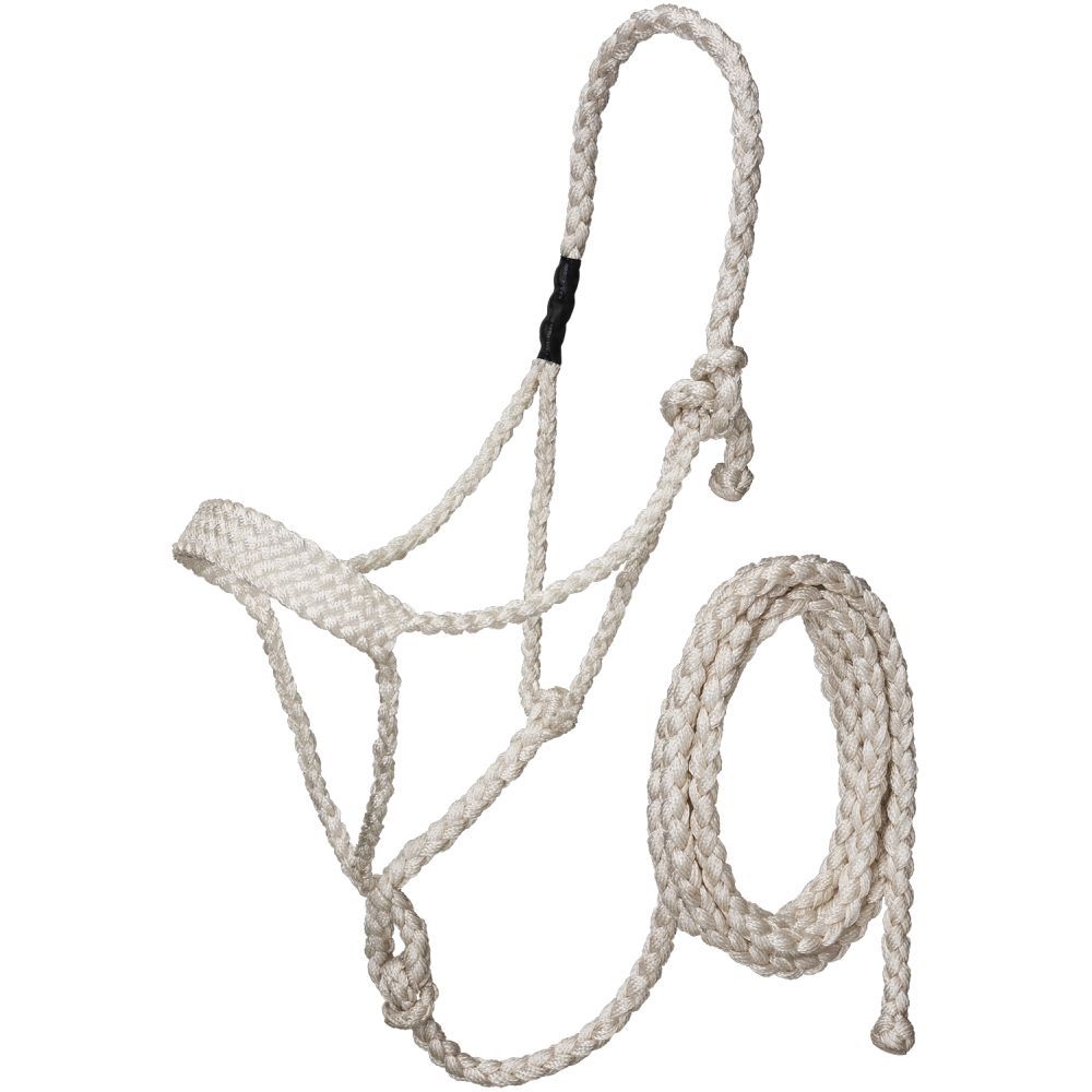Mule Tape Halter with Lead