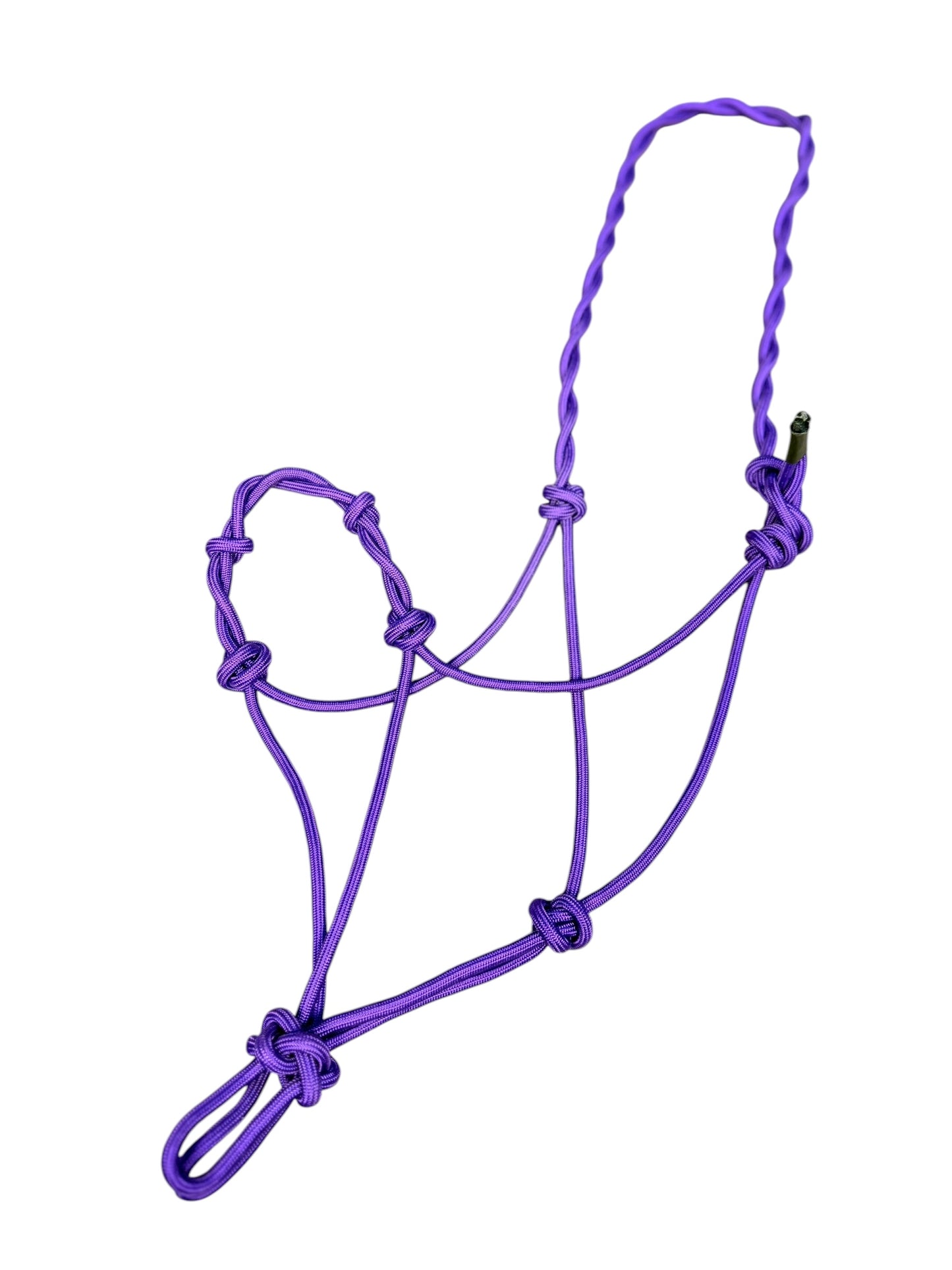 Knotted Rope Training Halter