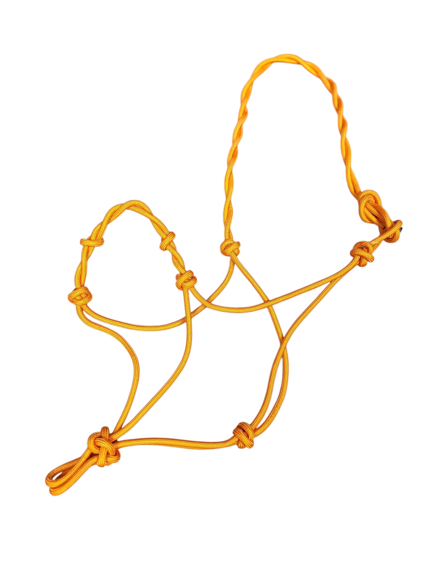 Knotted Rope Training Halter
